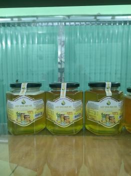 Mật ong bạc hà Hà An