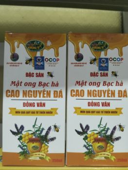 Mật ong Trường Anh 300ml