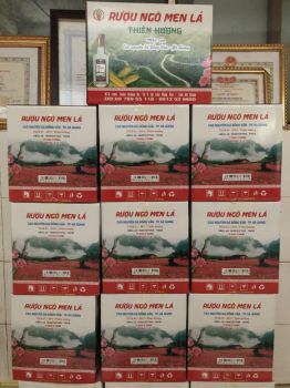 RƯỢU NGÔ MEN LÁ THIÊN HƯƠNG (CHAI 500 ML)